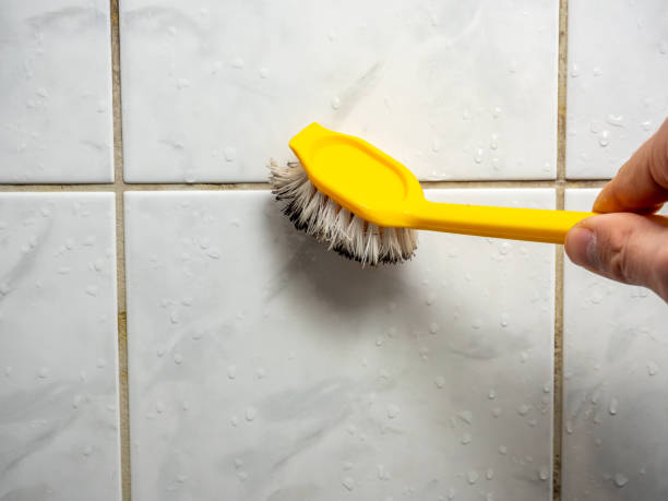 Best Bathroom Mold Remediation in St Andrews, SC